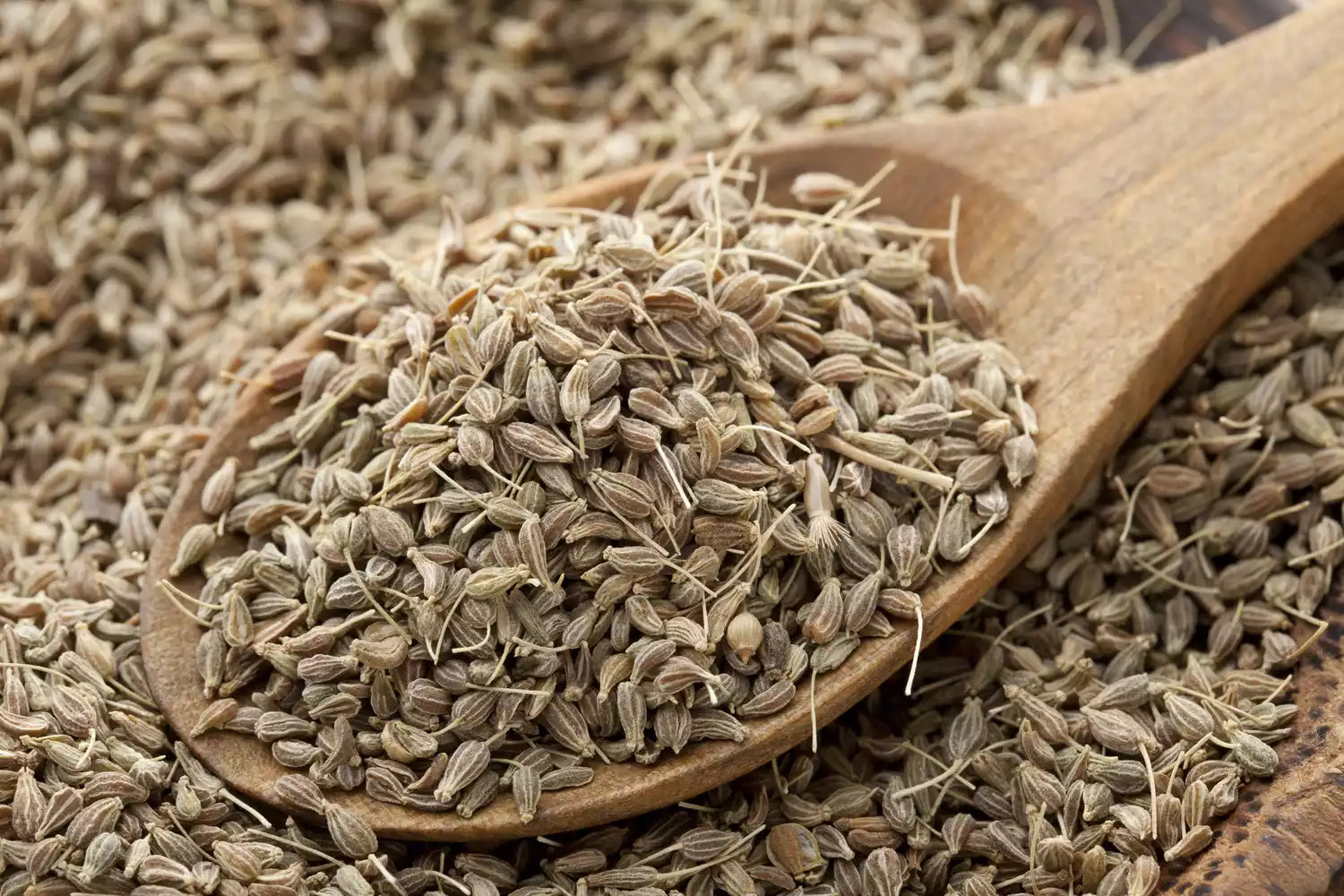 Anisfrø (Pimpinella Anisum): En eterisk olje som gir velvære